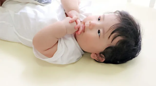 ミニサイズ ベビー 固綿敷布団 2つ折タイプ 10-18 アイボリー un doudou アン・ドゥ・ドゥ ベビーベッド